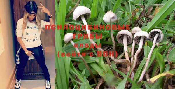 МДПВ Богданович