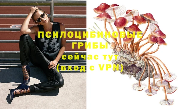 каннабис Богородск
