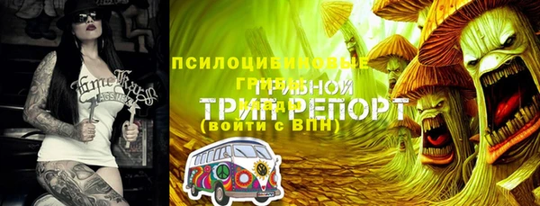 МДПВ Богданович