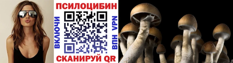 Галлюциногенные грибы Magic Shrooms  ОМГ ОМГ ТОР  Волжск  наркошоп 